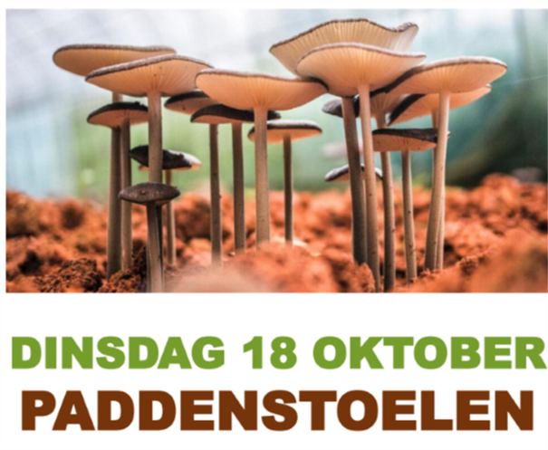 Paddenstoelen 
