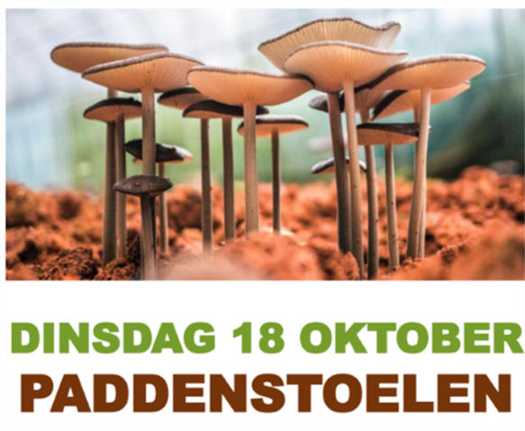 paddenstoelen