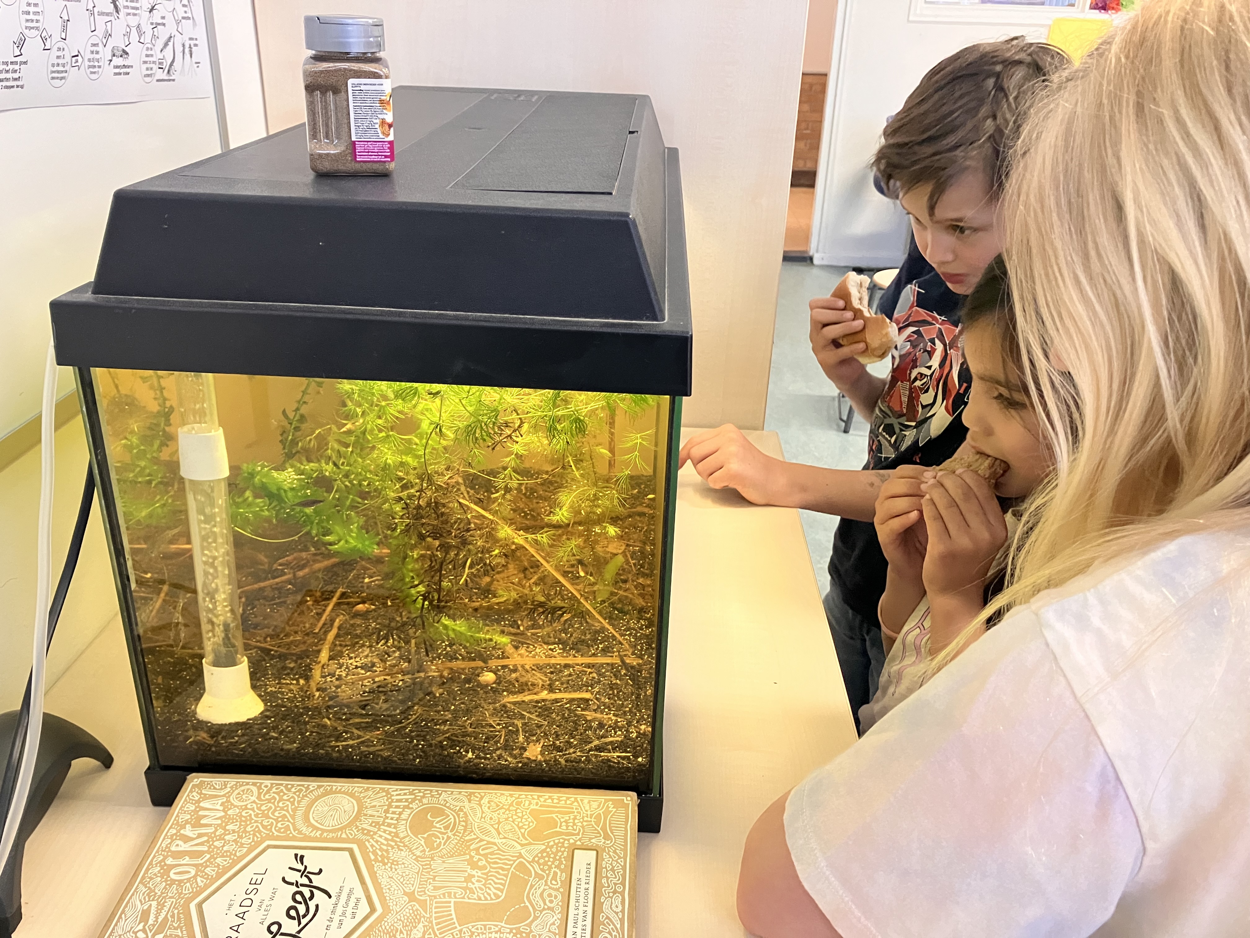 Bericht uit groep 456