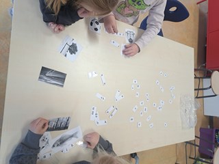 20250313_085737 (1)