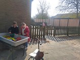 20250324_110441 (1)